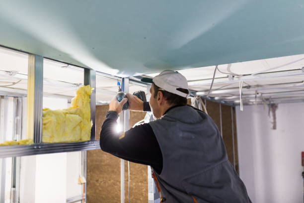 Best Residential Insulation in Ridge Manor, FL