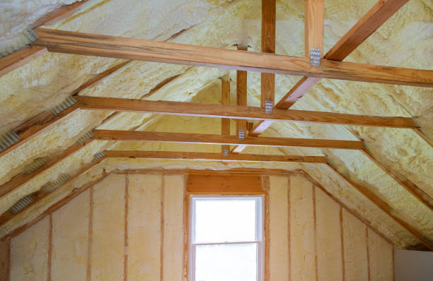 Best Geographic-Specific Insulation Services in Ridge Manor, FL