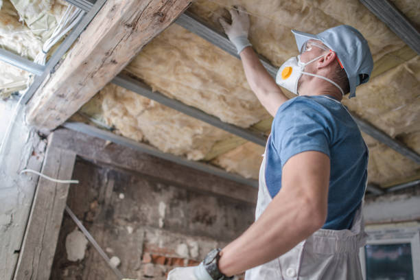 Best Spray Foam Insulation in Ridge Manor, FL