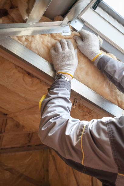 Best Eco-Friendly Insulation in Ridge Manor, FL