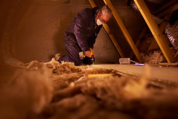 Best Commercial Insulation in Ridge Manor, FL